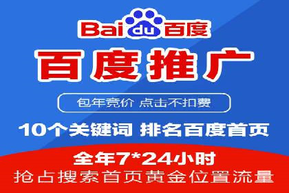 行业领先企业的SEM代理案例剖析